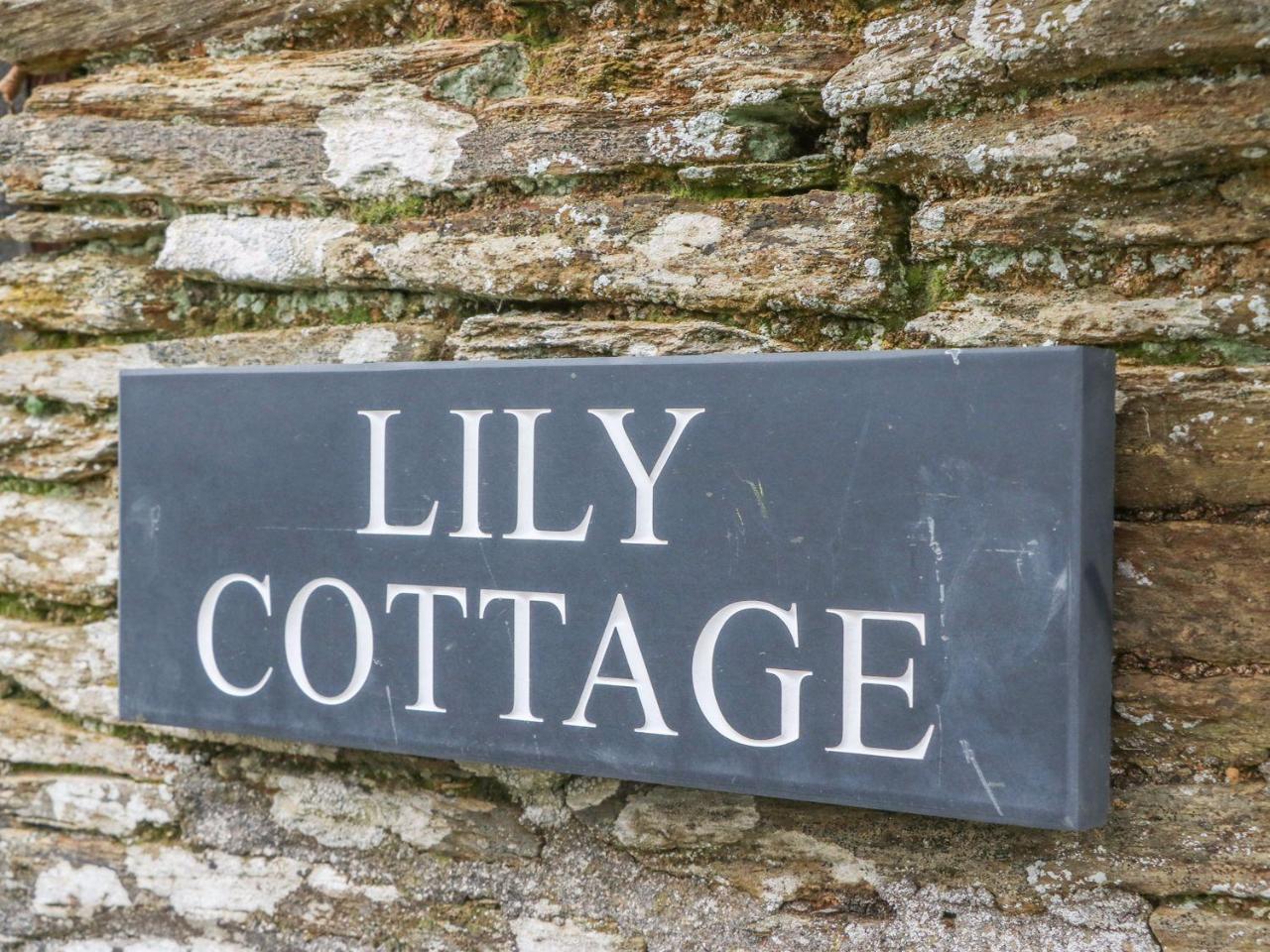 Lily Cottage Looe Ngoại thất bức ảnh